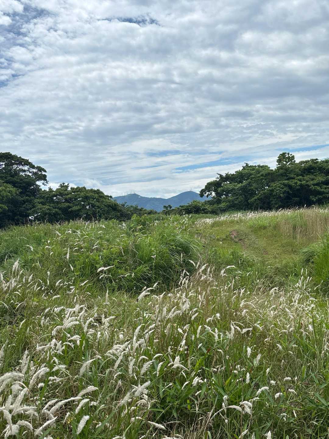 高塔山-藤ノ木越-石峰山-烽火台山 往復コースの写真