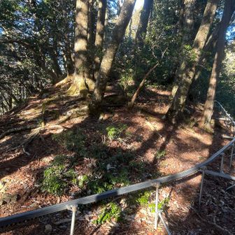 作業用の？レールが出てきます。しばらくこのレールに沿って進みます。