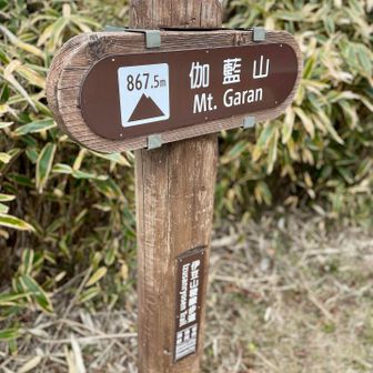 次のピークに到着