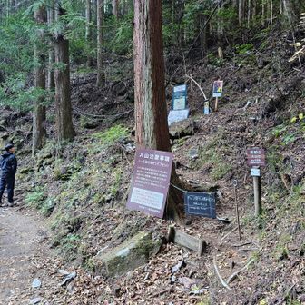 千手滝まで下りてから、長坂山入山口に引き返しました。
展望が良いと聞く、長坂山に向かいます。