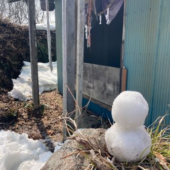 ☃️作ったよ！