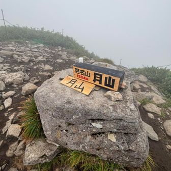 てっぺん⛰️

やはり真っ白でした