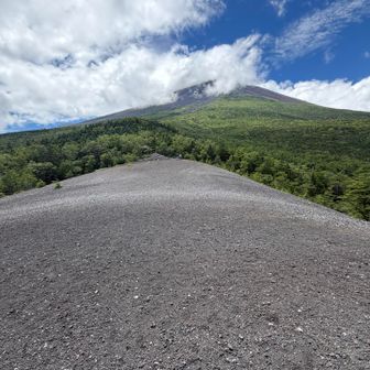 さて戻るかと振り返ると、大が奥で悠然と佇んでいた。こうしてみると、やはり富士山は偉大な山だなと改めて思った。