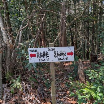 どっちから行くか悩みます🤭