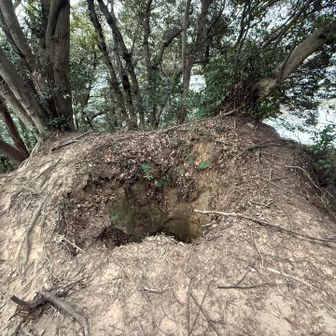 そして落とし穴