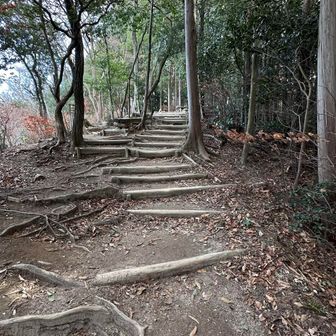 頂上は風が強い