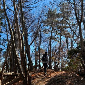 前を歩くミルたんさん☺️