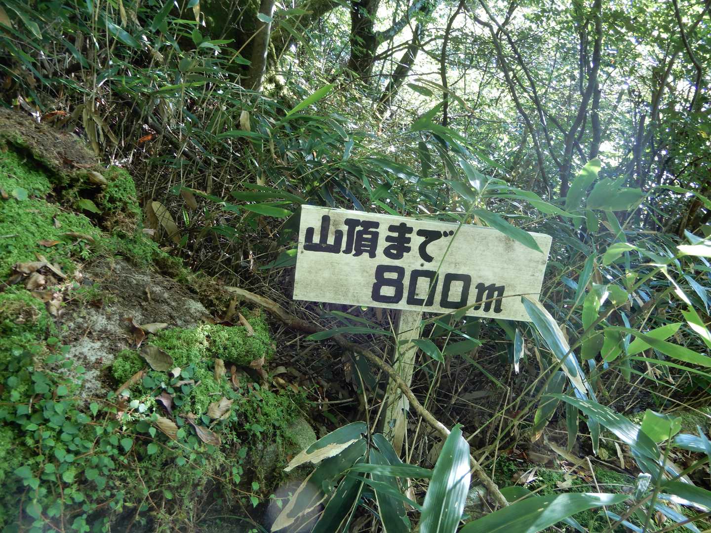 標識に少しホッとして😊😄