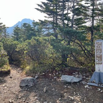本谷山踏破。回り込むように塩見岳に近づいていく。