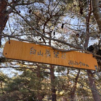 意外と標高が高いな