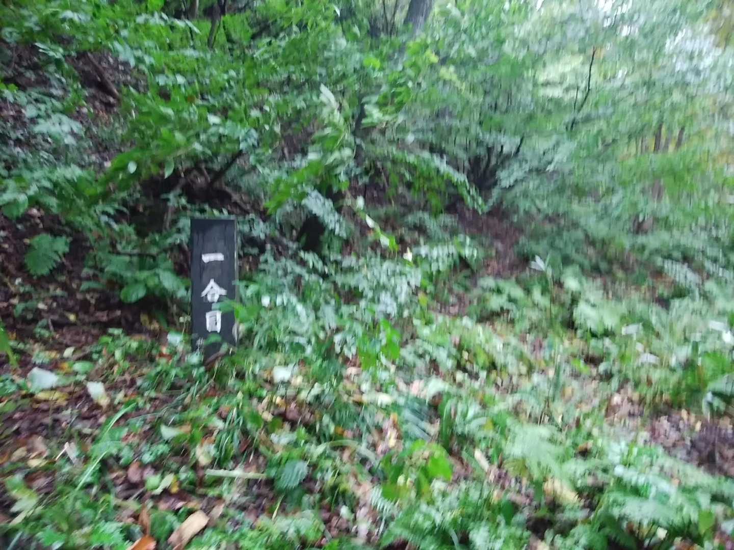 一合目からずっとしっかりとした標識がある