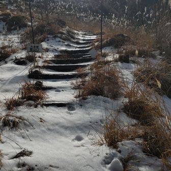 ３ヶ所目で  ギリ⏱️⚡
START…😭

いきなり  残雪だよ𓂃⟡.·❄︎.*
とりあえず チェンスパ持参します

➡正解( *˙˙*)و  
10cm以上のゾーンもアリ 
泥濘アリ