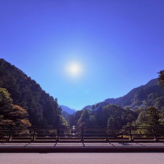 秋晴れの1日でした🌞