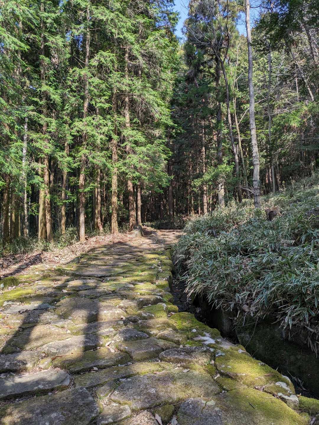 琵琶峠の石畳