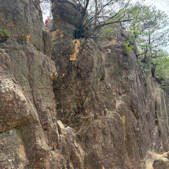 風吹岩からの帰りは別のルートへ。