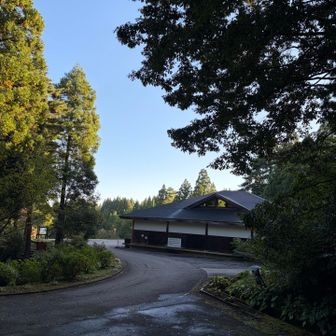 森林科学館らしい