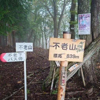 本日last
不老山