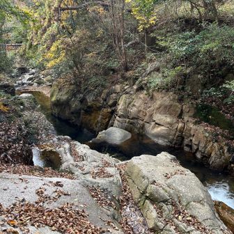 荒地山を下り､芦屋奥池方面へ