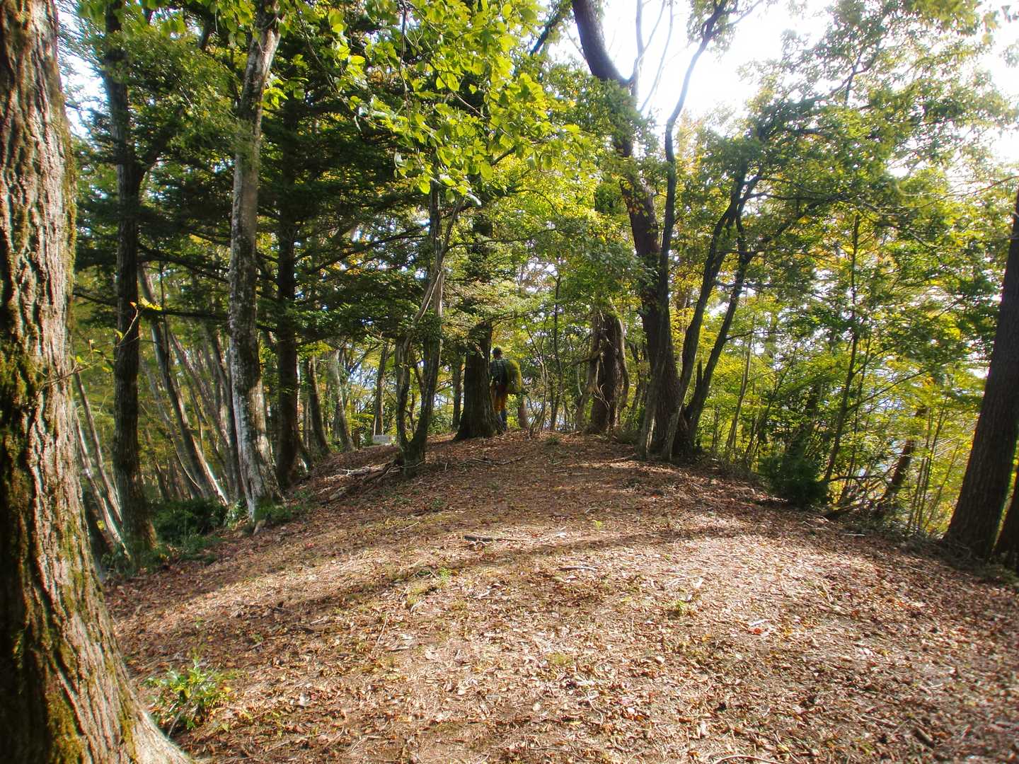 東屋周辺は風🍃