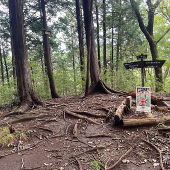 長倉山山頂到着です。

ここは、眺望はご愛嬌です😅