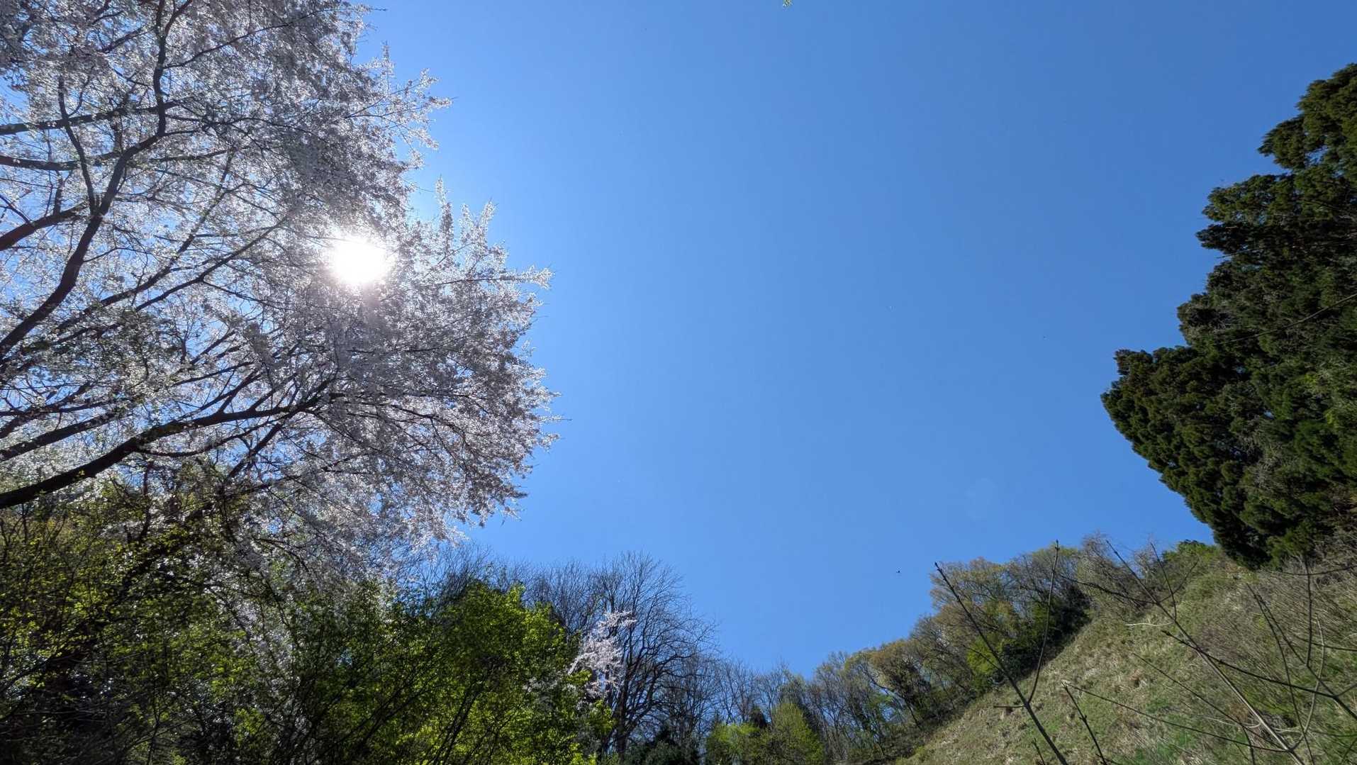 ホントにいい天気
久しぶりの青空