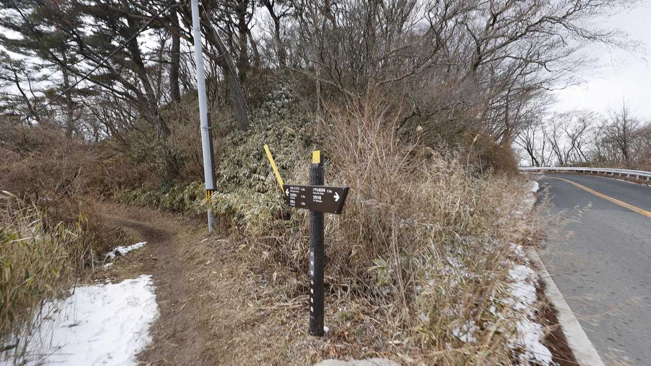 六甲ハイカー（六甲全山縦走路） の写真 28