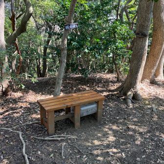 山頂は、ベンチもあります。