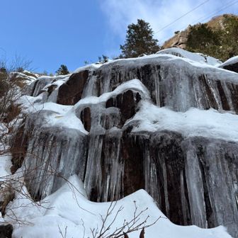 これこれ！
見たかったやつ😊