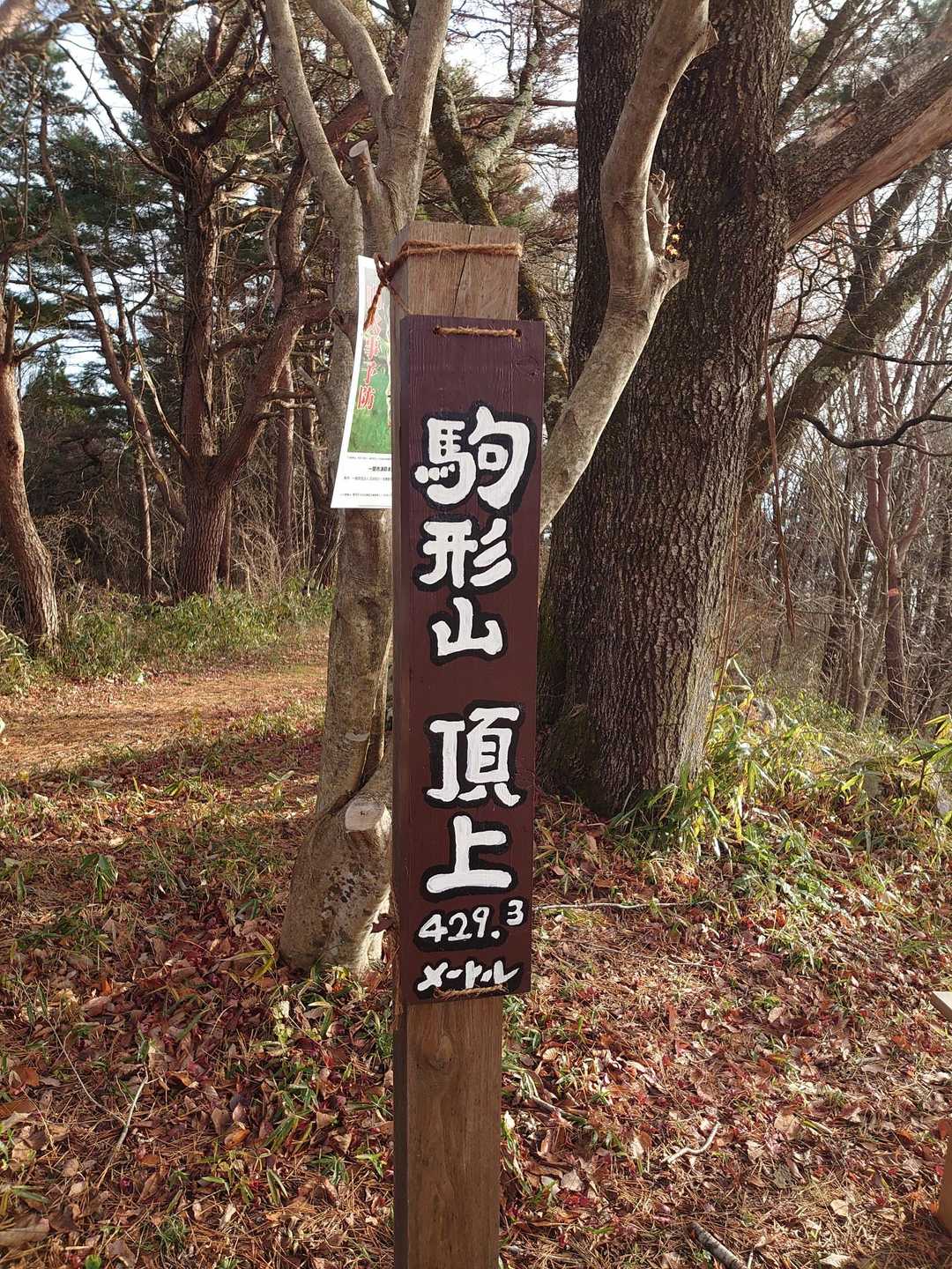 駒形山🗻山頂到着