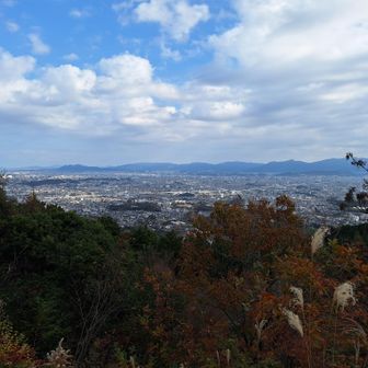「ぎんなん展望所」からの展望✨
油山って、こんなにたくさんの展望所があったんだ😄