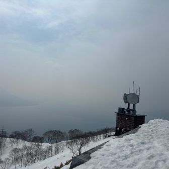 たしかこっちがエニー😆