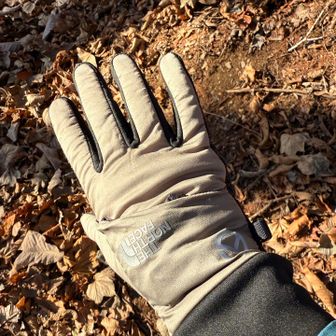 THE NORTH FACEのベントリックスグローブ。なかなか良い買い物をした。