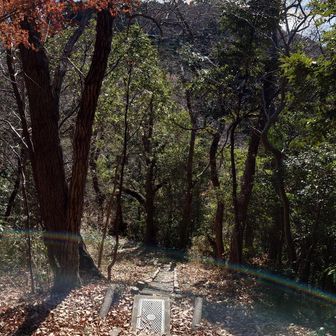 左に行くと
急な階段なので避けて

右の巻き道に戻り下ります