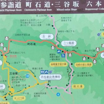 本日のコース図