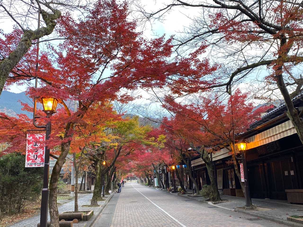 　店舗前を掃き掃除されてみえた女性の方に挨拶をすると「今日は、紅葉がとてもきれいですよ。」と声をかけて下さいました。