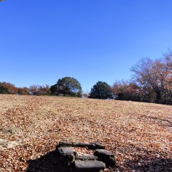 頂上広い！！
ここでお昼休憩🍙
でも眺望はなし😲
夏は暑そう🙄