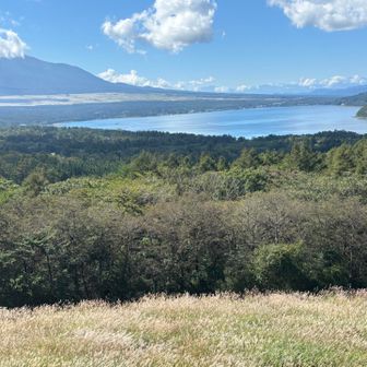 富士山と山中湖
