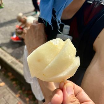立山駅エイド。
冷たい呉羽梨が美味しすぎて、無限に食べられる。2玉以上は食べた気がする。
一切れずつ取るのが面倒になり、二切れ、最後は三切れまとめてチャレンジザトリプル×2回。