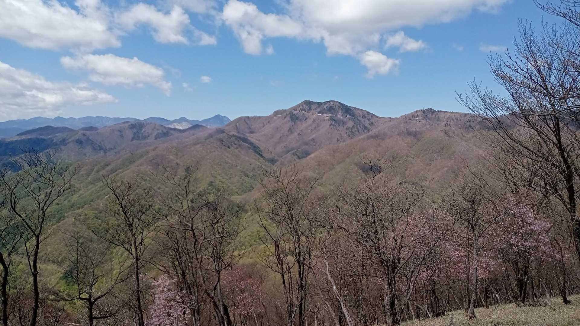 半月山も確認❇️そんな薬師岳より