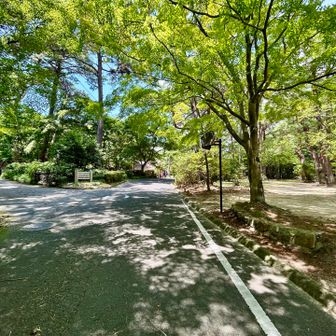 再度公園でも補給。
ここも本当に助かりました。
何本ペットボトル🧴買ったか忘れました笑。ここからはロード多めですが、暑いので歩き多めで進みます。