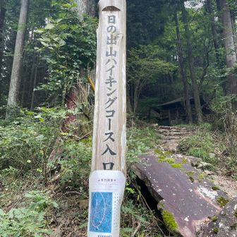 おりてきました