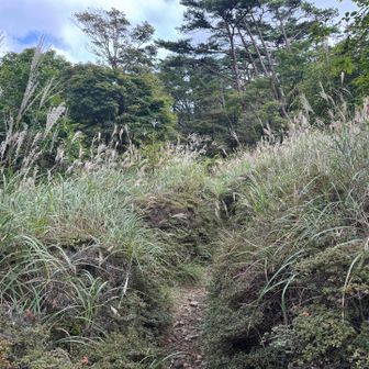 ここから甑岳へ向かう道
