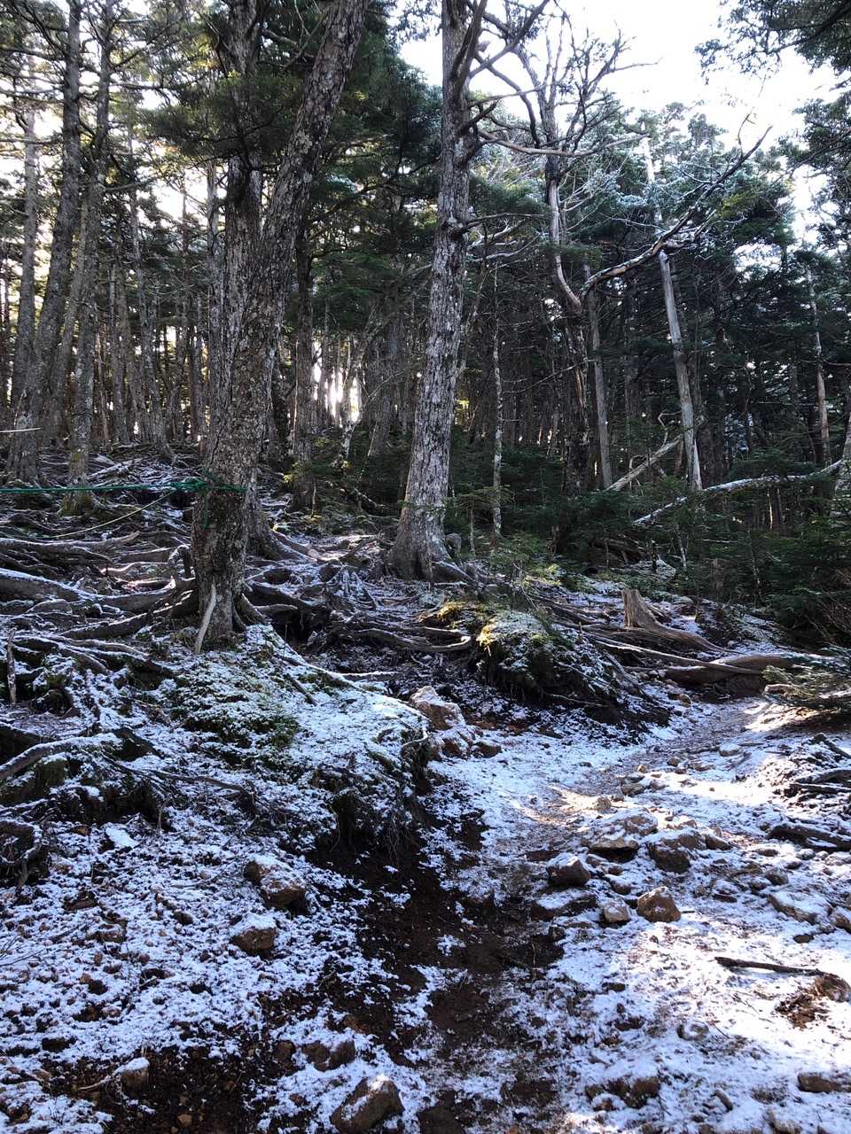 再び雪❄️が見え始めました。