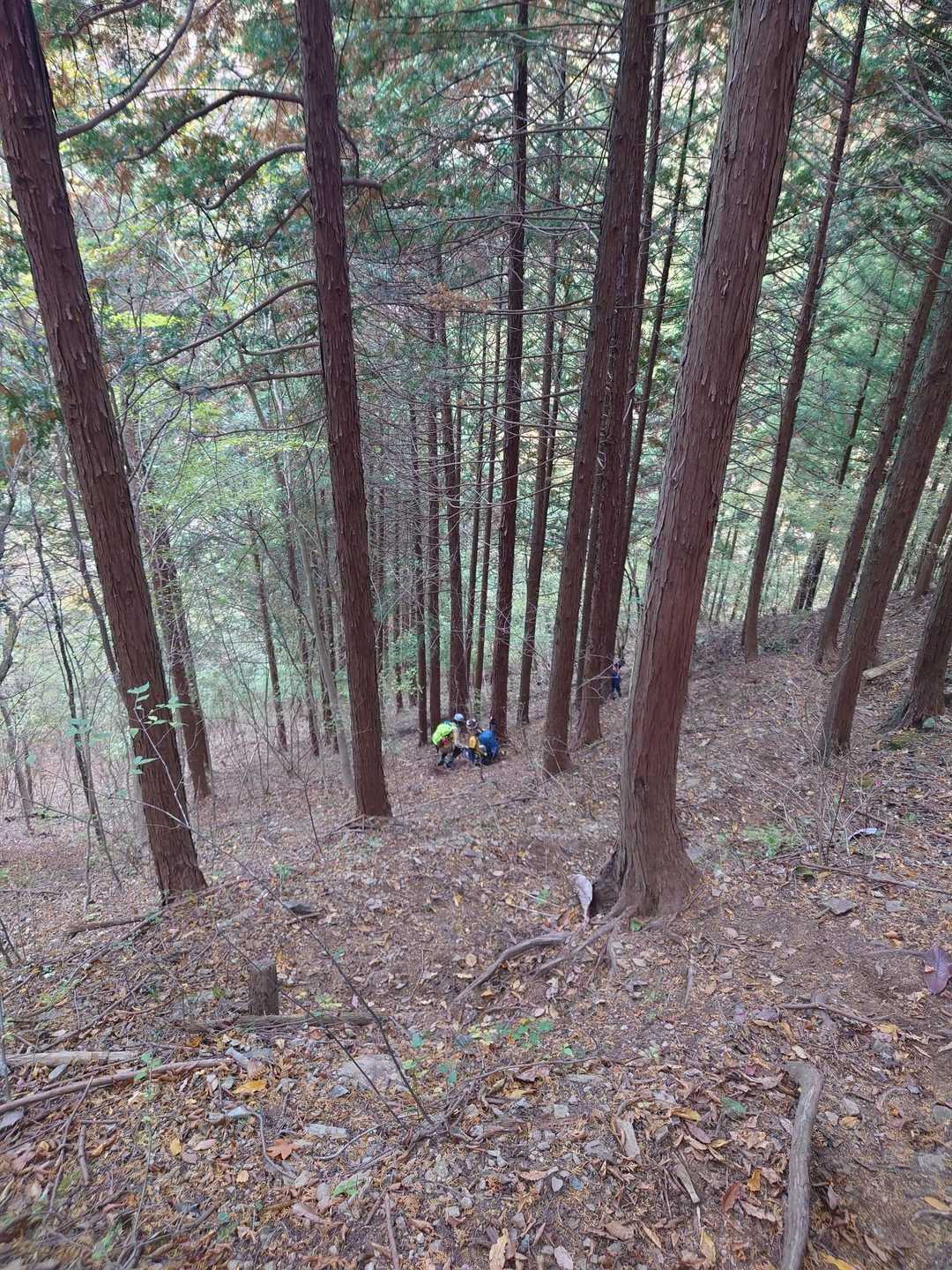 さすが西上州。
激下りです🤣