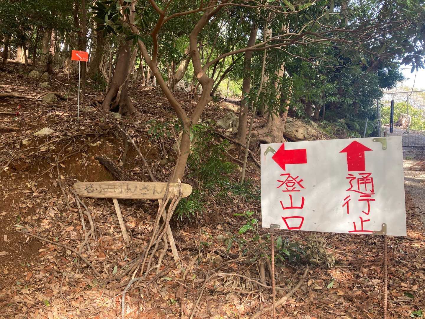 ここから土の登山口です♪