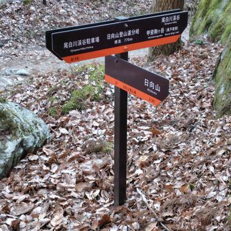 ゴールの甲斐駒ヶ岳登山口まであと少し💡ここから山道はフラットだ👍