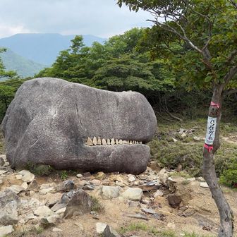 ハンバーガー岩
（ゴジラ岩）