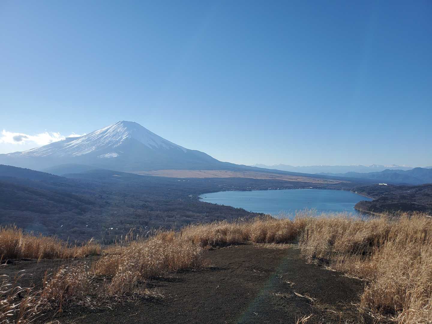 鉄砲木ノ頭(明神山)山頂部(1,291m)からの景色
後ろを振り返るて富士山,山中湖,南アルプスの山々
