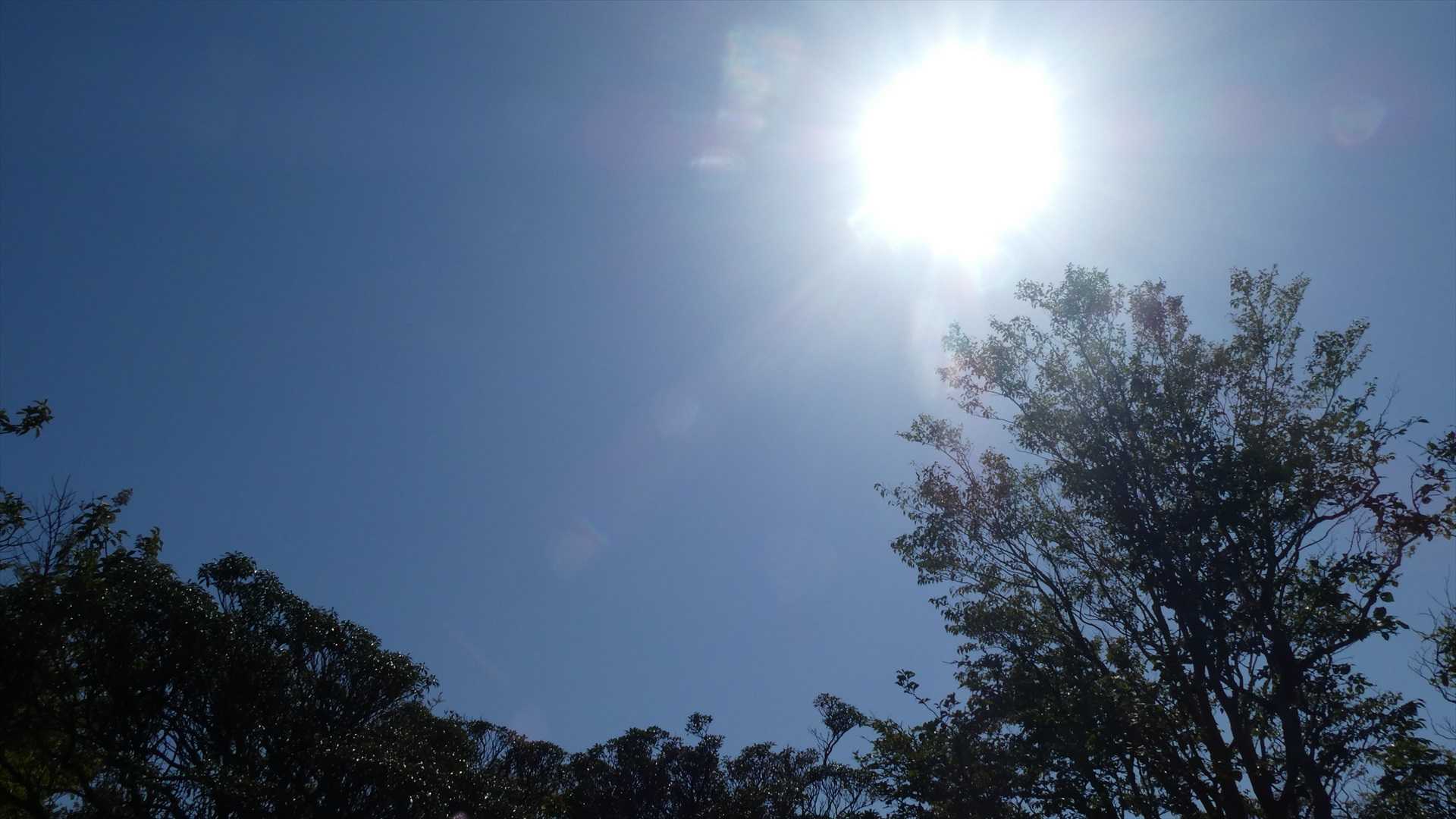 天気は良いが木々に囲まれて展望はない
11時43分下山開始
長崎尾へ