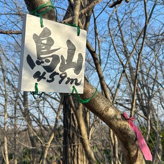 展望台の途中にある鳥山